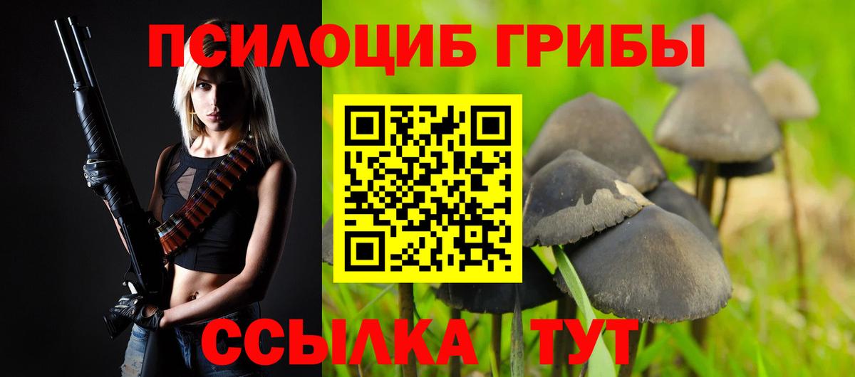 Псилоцибиновые грибы мицелий Свободный
