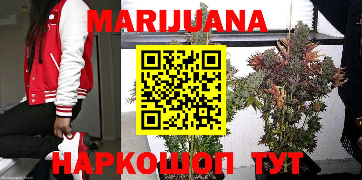 Канабис марихуана  Бошки Шишки гибрид  Вход с VPN  Свободный  Бошки Шишки White Widow  Конопля план 